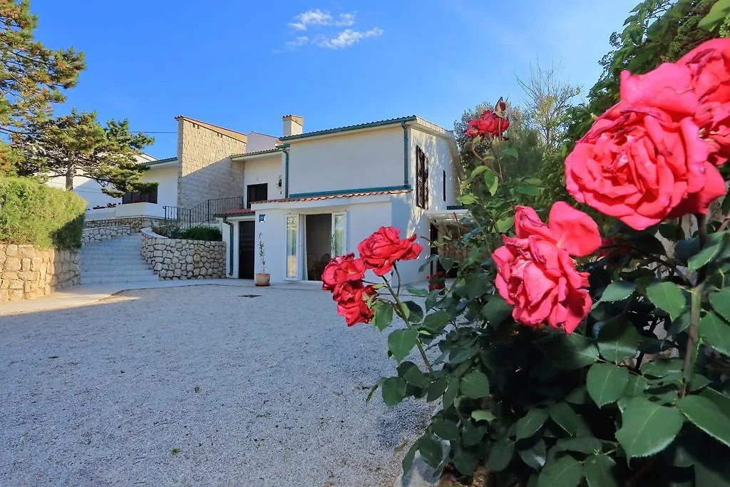 Apartments Andreja Pag Town 0*,